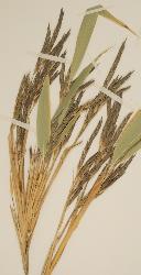 © Landcare Research 